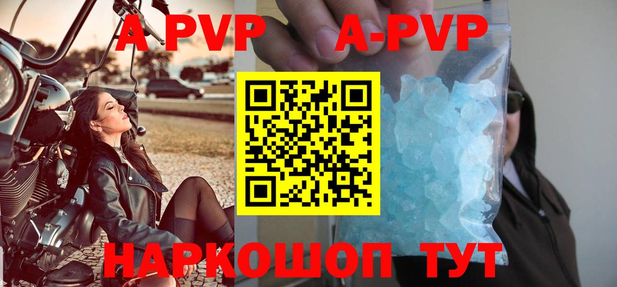 Alfa_PVP СК Хасавюрт
