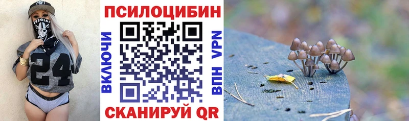 Галлюциногенные грибы Psilocybe  как найти закладки  МЕГА зеркало  Хасавюрт 